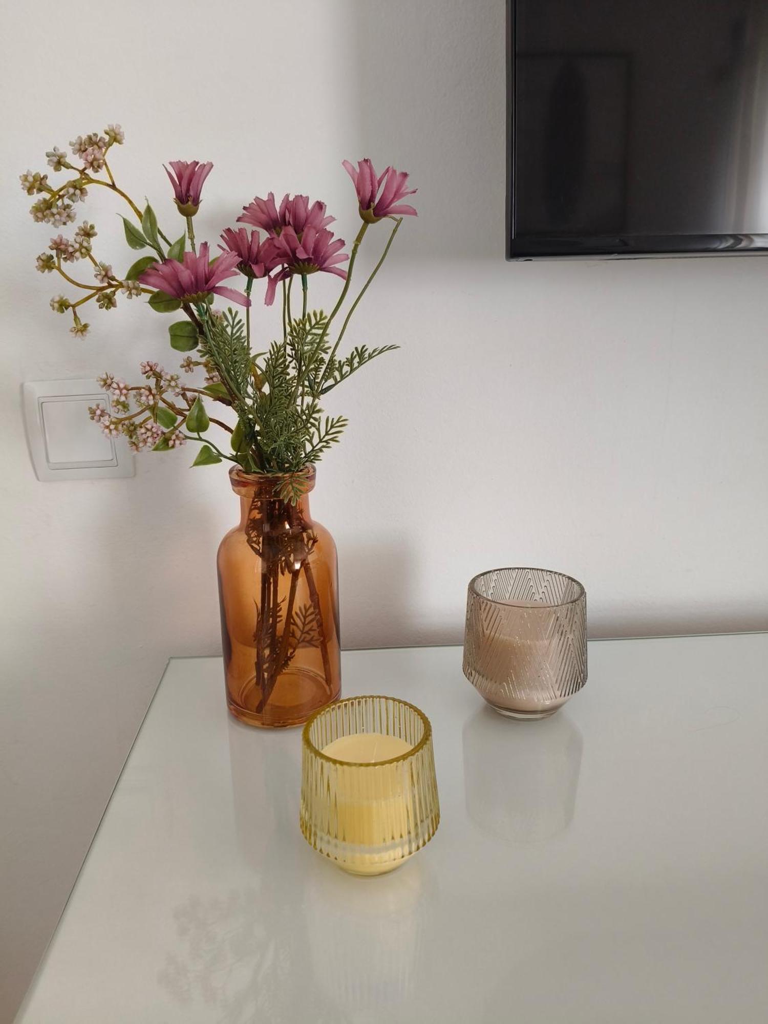 Apartament Familiar Tranquil A Platja D'Aro Dış mekan fotoğraf